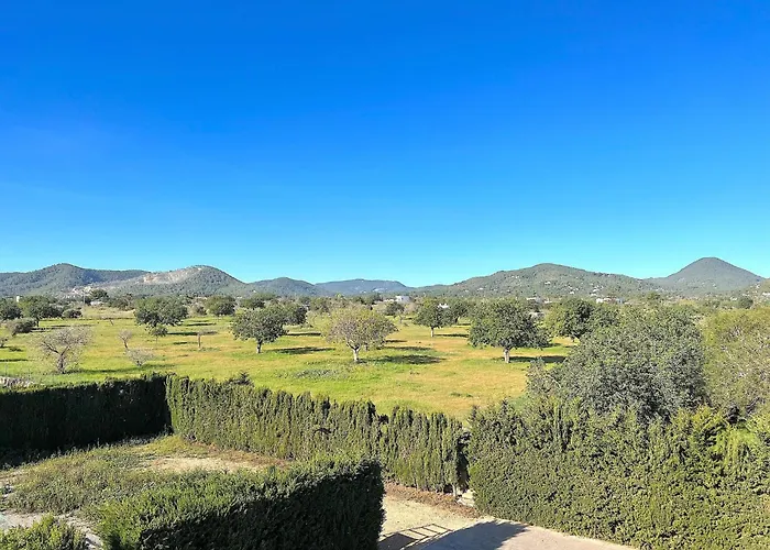 Villa Oasis Ibiza